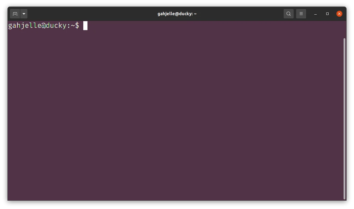 Screenshot of the Linux terminal